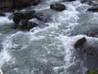 <img200*0:stuff/FP_BradleyWoods_046.jpg>