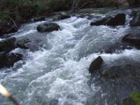 <img200*0:stuff/FP_BradleyWoods_048.jpg>