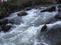 <img200*0:stuff/FP_BradleyWoods_049.jpg>