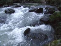 <img200*0:stuff/FP_BradleyWoods_050.jpg>