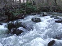 <img200*0:stuff/FP_BradleyWoods_051.jpg>
