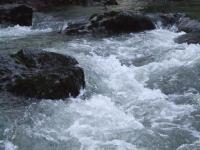<img200*0:stuff/FP_BradleyWoods_052.jpg>