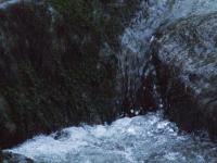 <img200*0:stuff/FP_BradleyWoods_053.jpg>