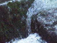 <img200*0:stuff/FP_BradleyWoods_054.jpg>