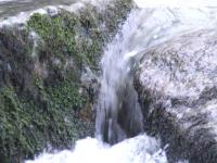 <img200*0:stuff/FP_BradleyWoods_055.jpg>