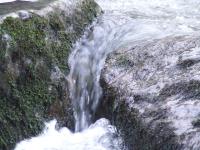 <img200*0:stuff/FP_BradleyWoods_056.jpg>