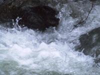 <img200*0:stuff/FP_BradleyWoods_057.jpg>