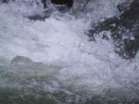 <img200*0:stuff/FP_BradleyWoods_058.jpg>