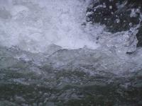 <img200*0:stuff/FP_BradleyWoods_059.jpg>