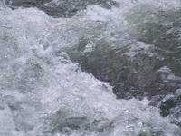 <img200*0:stuff/FP_BradleyWoods_060.jpg>