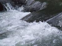 <img200*0:stuff/FP_BradleyWoods_061.jpg>