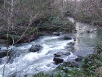 <img200*0:stuff/FP_BradleyWoods_062.jpg>