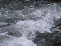 <img200*0:stuff/FP_BradleyWoods_063.jpg>