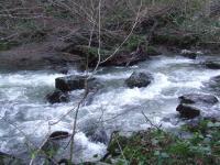 <img200*0:stuff/FP_BradleyWoods_064.jpg>