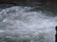 <img200*0:stuff/FP_BradleyWoods_065.jpg>