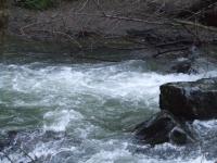 <img200*0:stuff/FP_BradleyWoods_066.jpg>