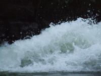 <img200*0:stuff/FP_BradleyWoods_067.jpg>