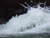 <img200*0:stuff/FP_BradleyWoods_068.jpg>