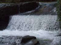 <img200*0:stuff/FP_BradleyWoods_069.jpg>