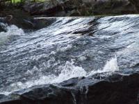 <img200*0:stuff/FP_BradleyWoods_070.jpg>