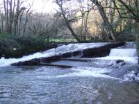<img200*0:stuff/FP_BradleyWoods_071.jpg>