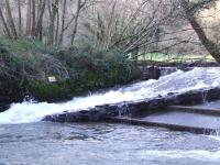 <img200*0:stuff/FP_BradleyWoods_072.jpg>