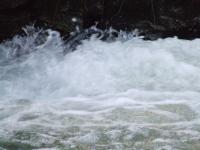 <img200*0:stuff/FP_BradleyWoods_073.jpg>