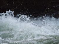 <img200*0:stuff/FP_BradleyWoods_074.jpg>