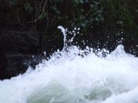 <img200*0:stuff/FP_BradleyWoods_075.jpg>