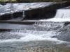 <img100*0:stuff/FP_BradleyWoods_076.jpg>