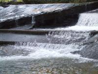 <img200*0:stuff/FP_BradleyWoods_076.jpg>