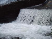 <img200*0:stuff/FP_BradleyWoods_077.jpg>
