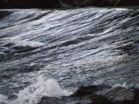<img200*0:stuff/FP_BradleyWoods_080.jpg>