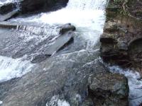 <img200*0:stuff/FP_BradleyWoods_081.jpg>