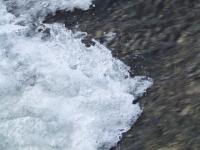 <img200*0:stuff/FP_BradleyWoods_082.jpg>