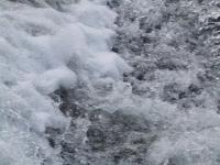 <img200*0:stuff/FP_BradleyWoods_083.jpg>