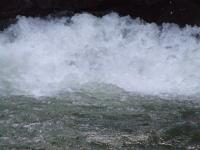 <img200*0:stuff/FP_BradleyWoods_084.jpg>