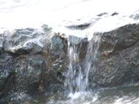 <img200*0:stuff/FP_BradleyWoods_085.jpg>
