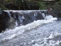 <img200*0:stuff/FP_BradleyWoods_086.jpg>