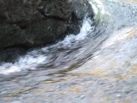 <img200*0:stuff/FP_BradleyWoods_087.jpg>