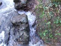 <img200*0:stuff/FP_BradleyWoods_088.jpg>