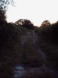 <img200*0:stuff/FP_Camping_Aug2006_047.jpg>