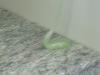 <img100*0:stuff/FP_ChemistryLesson_SlimePrac_014.jpg>