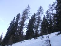 <img200*0:stuff/FP_FranceSkiing_044.jpg>