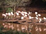 <img150*0:stuff/FP_PaigntonZoo_001.jpg>