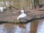 <img150*0:stuff/FP_PaigntonZoo_003.jpg>