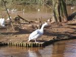 <img150*0:stuff/FP_PaigntonZoo_004.jpg>