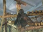 <img150*0:stuff/FP_PaigntonZoo_005.jpg>