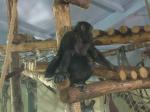 <img150*0:stuff/FP_PaigntonZoo_006.jpg>