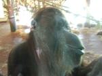 <img150*0:stuff/FP_PaigntonZoo_010.jpg>